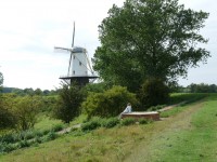 Mühle in Veere